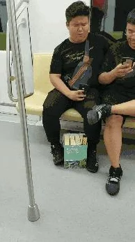 口袋妖怪复刻：2024热门闪光精灵兑换推荐全攻略