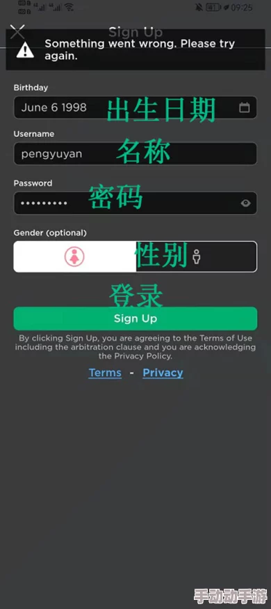 ROBLOX游戏运行时频繁白屏：深度解析原因与解决方案