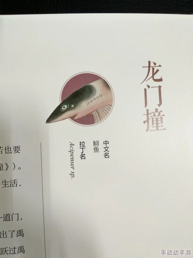 深度解析黑神话悟空中跳浪蛟BOSS战打法与战术策略