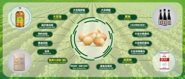 铜锤传世：深度解析最强职业推荐，助力新手精准选择入门之路