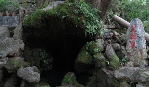 《魔兽世界》长青苔的土灵任务怎么做？