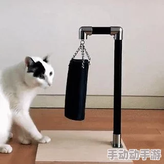 光遇魔法商店兑换物品需要什么材料_魔法商店物品价格一览