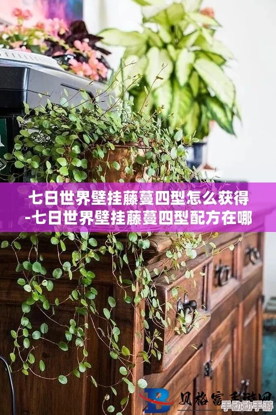 七日世界壁挂藤蔓四型在哪-壁挂藤蔓四型位置介绍